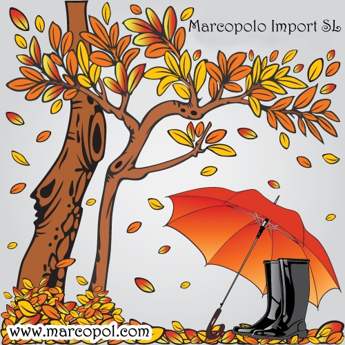 Otoño en Marcopolo Import SL